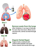 Herbal Lung Cleanse Mist – Natural Respiratory Support Spray 3